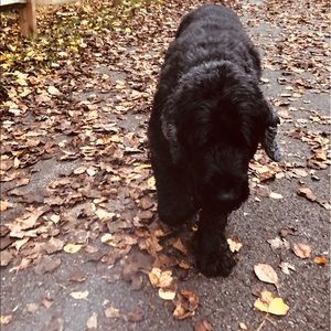 Meet your Posher, Ella